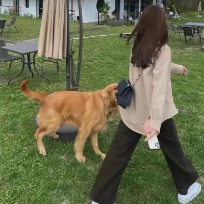 揭秘骗局